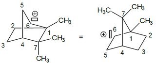 correction to the scheme of the camphenyl cation